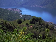 Sul ‘Sentiero del Viandante’ da Lierna a Varenna (variante alta) il 17 maggio 2012 - FOTOGALLERY